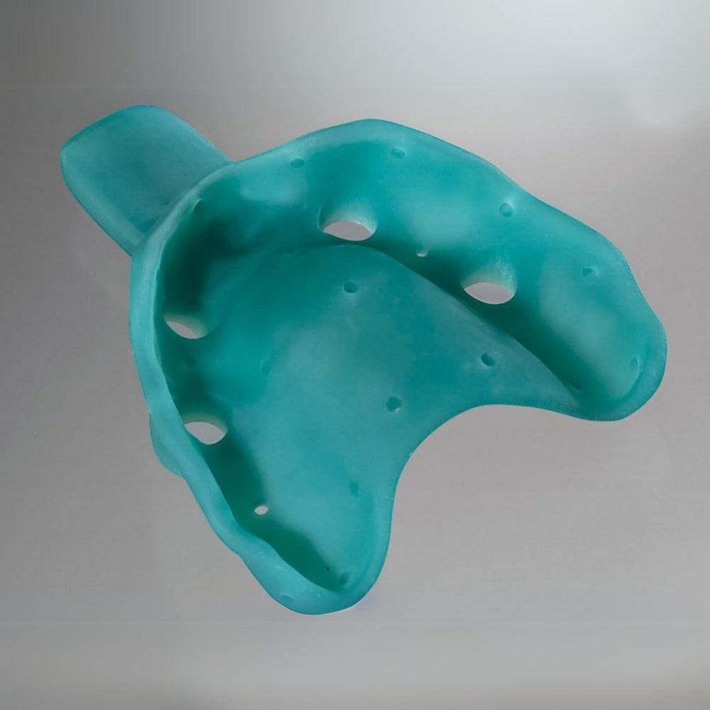 Detax - Freeprint Tray 2.0 - Classe I - Vert - 1 kg