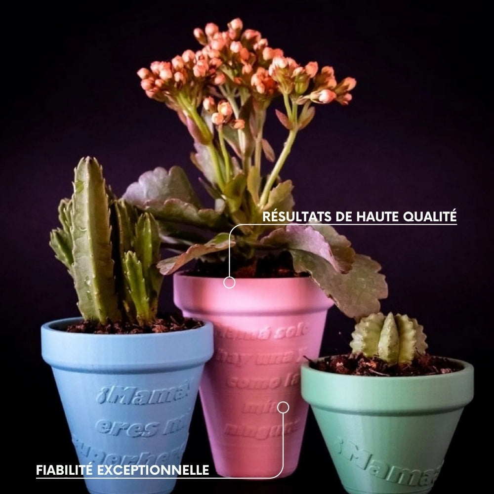 Panchroma Basic PLA - Rose (Pink) - 1,75 mm - 1 kg