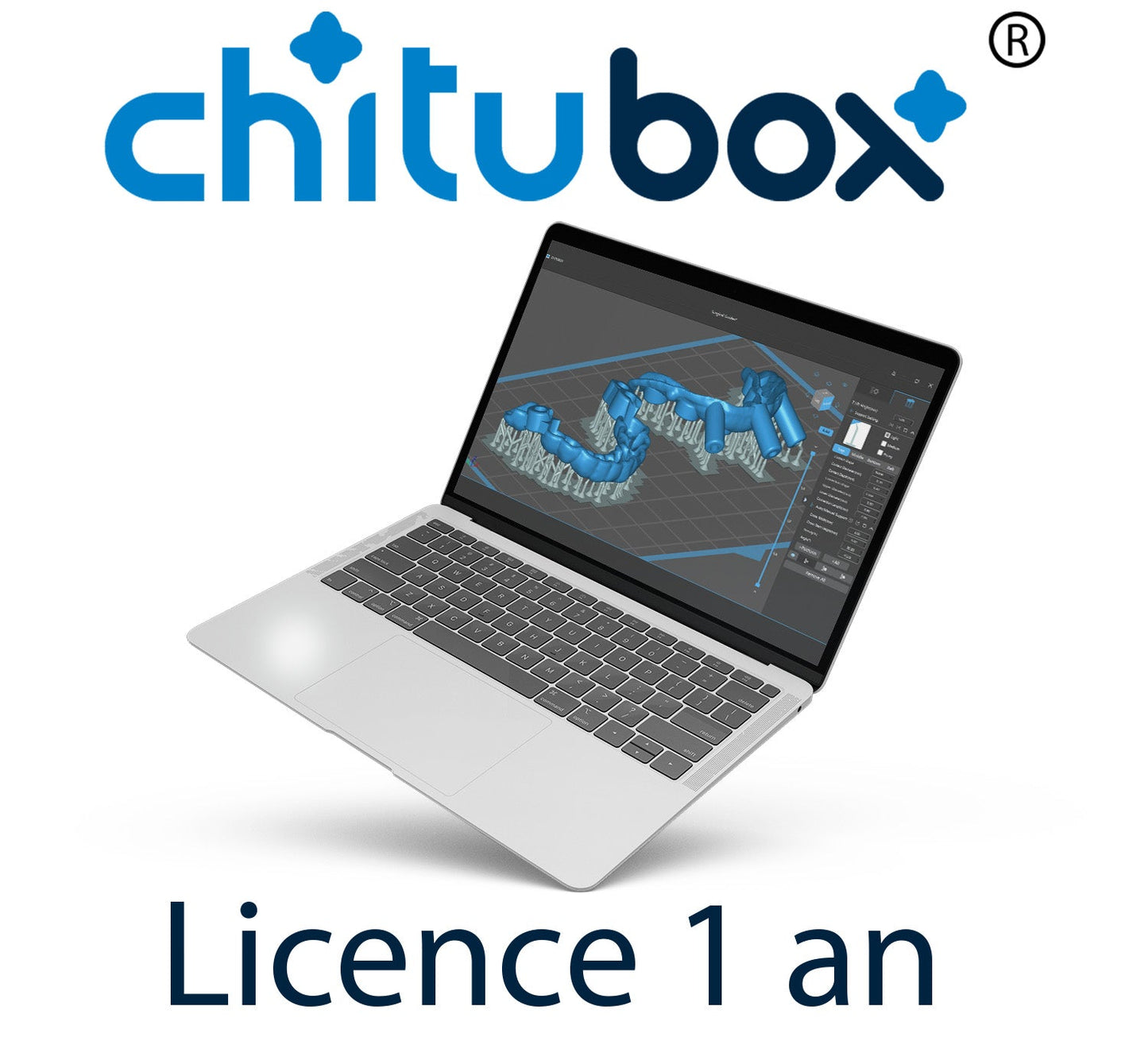 ChituBox Pro Licence 1 an / ChituBox Pro 1 Year License - Dématérialiser
