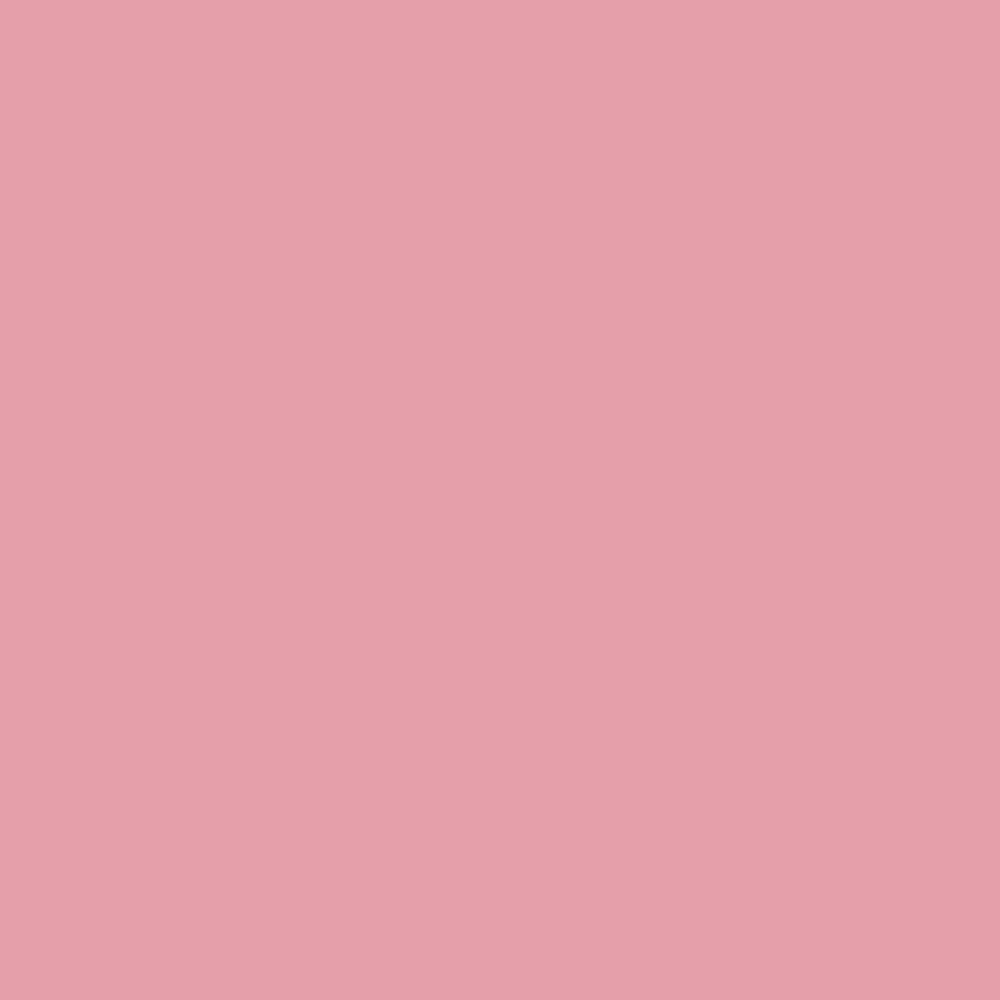 Cricut - Assortiment Vinyles Permanents Brillants - Pastels
