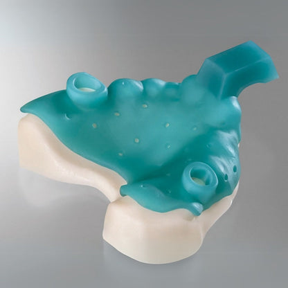 Detax - Freeprint Tray 2.0 - Classe I - Vert - 1 kg