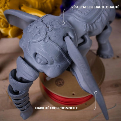 Panchroma Basic PLA - Gris Foncé (Dark Grey) - 1,75 mm - 1 kg