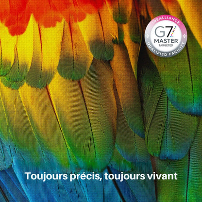 Pack 5 Couleurs xTool - Encres DTF pour Apparel Printer