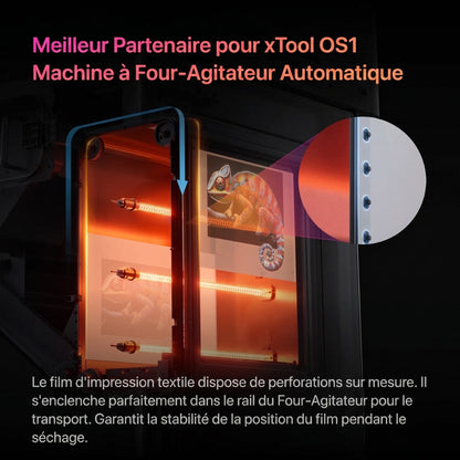 xTool - Rouleau de film pour Apparel Printer - Or (Gold) - 0,39 x 30 m